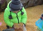 School Readiness students enjoy playing in the corn pit at the FFA Pumpkin Patch.
