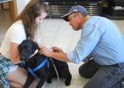 Dr. Bob Burgess giving a shot to “Murdock” at the vaccination clinic that was held at Cornerstone Veterinary Service in Gonvick. Murdock is being held by Makayla Burman.