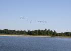 Oklee wastewater treatment ponds are under attack. Flushables are causing problems.