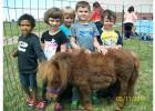 School Readiness students were enjoying the 27 1/2 inch horse. 