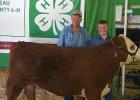Walter Jones received a grand champion on his livestock, granting him a trip to the MN State Fair. Walter had his steer purchased by the Brobst family farm; the steer’s weight was 1260.
