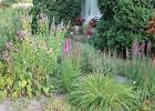 Lisa Erickson, 223 State Street West, Grygla, has been nominated for ‘Yard of the Week’ but due to the nature of her yard, we’re diving in a little deeper this week and going to discuss pollinator friendly gardening below! Photos by Grygla Eagle Newspaper