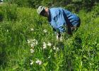 Lee Hall looking at the Lady Slippers.