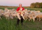 Janet McNally raises sheep near Hinckley Minnesota in a Regenerative Grazing system. 